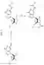 Fig. 04 - Trinucleotide mRNA cap analogs