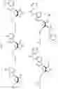 Fig. 08 - Trinucleotide mRNA cap analogs