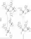 Fig. 09 - Trinucleotide mRNA cap analogs