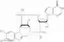 Fig. 124 - Cyclic dinucleotides containing benzimidazole, method for the production of same, and use of same to activate stimulator of interferon genes (sting)-dependent signaling pathways