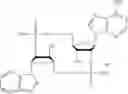 Fig. 149 - Cyclic dinucleotides containing benzimidazole, method for the production of same, and use of same to activate stimulator of interferon genes (sting)-dependent signaling pathways