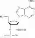 Fig. 151 - Cyclic dinucleotides containing benzimidazole, method for the production of same, and use of same to activate stimulator of interferon genes (sting)-dependent signaling pathways