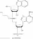 Fig. 152 - Cyclic dinucleotides containing benzimidazole, method for the production of same, and use of same to activate stimulator of interferon genes (sting)-dependent signaling pathways