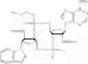 Fig. 154 - Cyclic dinucleotides containing benzimidazole, method for the production of same, and use of same to activate stimulator of interferon genes (sting)-dependent signaling pathways