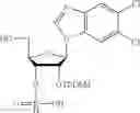 Fig. 158 - Cyclic dinucleotides containing benzimidazole, method for the production of same, and use of same to activate stimulator of interferon genes (sting)-dependent signaling pathways