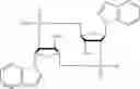 Fig. 19 - Cyclic dinucleotides containing benzimidazole, method for the production of same, and use of same to activate stimulator of interferon genes (sting)-dependent signaling pathways