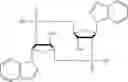 Fig. 22 - Cyclic dinucleotides containing benzimidazole, method for the production of same, and use of same to activate stimulator of interferon genes (sting)-dependent signaling pathways