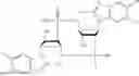Fig. 33 - Cyclic dinucleotides containing benzimidazole, method for the production of same, and use of same to activate stimulator of interferon genes (sting)-dependent signaling pathways