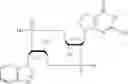 Fig. 40 - Cyclic dinucleotides containing benzimidazole, method for the production of same, and use of same to activate stimulator of interferon genes (sting)-dependent signaling pathways