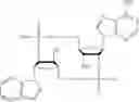 Fig. 55 - Cyclic dinucleotides containing benzimidazole, method for the production of same, and use of same to activate stimulator of interferon genes (sting)-dependent signaling pathways