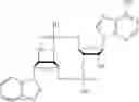 Fig. 56 - Cyclic dinucleotides containing benzimidazole, method for the production of same, and use of same to activate stimulator of interferon genes (sting)-dependent signaling pathways