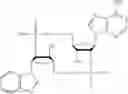 Fig. 58 - Cyclic dinucleotides containing benzimidazole, method for the production of same, and use of same to activate stimulator of interferon genes (sting)-dependent signaling pathways