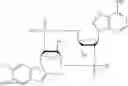 Fig. 70 - Cyclic dinucleotides containing benzimidazole, method for the production of same, and use of same to activate stimulator of interferon genes (sting)-dependent signaling pathways
