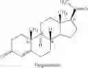 Fig. 04 - Process for the preparation of 9 beta,10 alpha-progesterone (retroprogesterone)