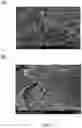 Fig. 02 - Preparation of high purity collagen particles and uses thereof