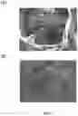 Fig. 03 - Preparation of high purity collagen particles and uses thereof