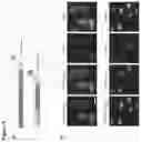 Fig. 05 - Epitope tag and method for detection and/or purification of tagged polypeptides