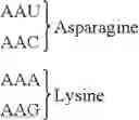 Fig. 33 - Peptide compound and method for producing same, composition for screening use, and method for selecting peptide compound