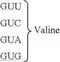 Fig. 35 - Peptide compound and method for producing same, composition for screening use, and method for selecting peptide compound