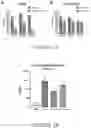 Fig. 13 - Chimeric molecules and uses thereof