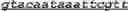 Fig. 19 - Carbohydrate producing plant material