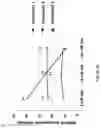 Fig. 52 - Carbohydrate producing plant material