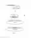 Fig. 03 - CHIMERIC GENE FOR HETEROLOGOUS EXPRESSION WHICH ENCODES FOR PEPTIDES WITH ANTIMICROBIAL ACTIVITY