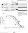 Fig. 08 - Peptidomimetic macrocycles and uses thereof