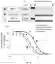 Fig. 22 - Peptidomimetic macrocycles and uses thereof