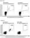 Fig. 33 - IMMUNOTHERAPY WITH B*07 RESTRICTED PEPTIDES AND COMBINATION OF PEPTIDES AGAINST CANCERS AND RELATED METHODS