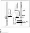 Fig. 08 - SECRETABLE VARIANT IMMUNOMODULATORY PROTEINS AND ENGINEERED CELL THERAPY