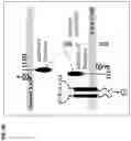 Fig. 09 - SECRETABLE VARIANT IMMUNOMODULATORY PROTEINS AND ENGINEERED CELL THERAPY