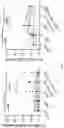Fig. 07 - Passive antibody dependent cell-mediated activation