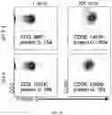 Fig. 19 - Passive antibody dependent cell-mediated activation