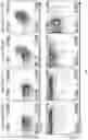 Fig. 33 - Passive antibody dependent cell-mediated activation