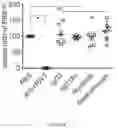 Fig. 43 - Passive antibody dependent cell-mediated activation