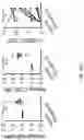 Fig. 49 - Passive antibody dependent cell-mediated activation