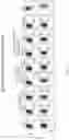 Fig. 60 - Passive antibody dependent cell-mediated activation