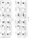 Fig. 65 - Passive antibody dependent cell-mediated activation