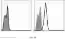 Fig. 68 - Passive antibody dependent cell-mediated activation