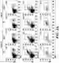 Fig. 03 - COMPOSITIONS AND METHODS FOR MODULATING AN IMMUNE RESPONSE