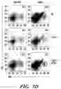 Fig. 06 - COMPOSITIONS AND METHODS FOR MODULATING AN IMMUNE RESPONSE