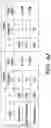 Fig. 16 - COMPOSITIONS AND METHODS FOR MODULATING AN IMMUNE RESPONSE