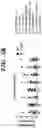 Fig. 17 - COMPOSITIONS AND METHODS FOR MODULATING AN IMMUNE RESPONSE