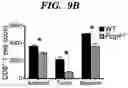Fig. 19 - COMPOSITIONS AND METHODS FOR MODULATING AN IMMUNE RESPONSE