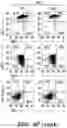 Fig. 24 - COMPOSITIONS AND METHODS FOR MODULATING AN IMMUNE RESPONSE