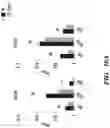 Fig. 26 - COMPOSITIONS AND METHODS FOR MODULATING AN IMMUNE RESPONSE
