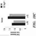 Fig. 28 - COMPOSITIONS AND METHODS FOR MODULATING AN IMMUNE RESPONSE