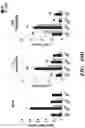 Fig. 29 - COMPOSITIONS AND METHODS FOR MODULATING AN IMMUNE RESPONSE