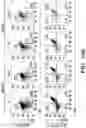 Fig. 30 - COMPOSITIONS AND METHODS FOR MODULATING AN IMMUNE RESPONSE